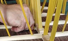 Brossage de la colle pour peaux