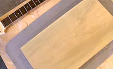 Forme du corps moelleuse