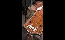 Gros plan sur la tête du plot