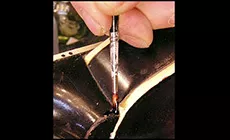 Image d’introduction