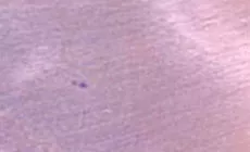 Élimination des taches brillantes