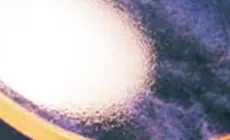 Les couches finales sèchent pendant une semaine