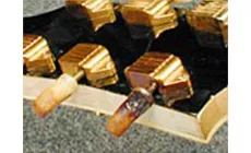 Brûlé placage de tête