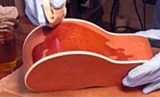 Photo : deuxième couche