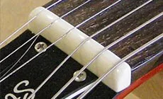 Photo : écrou à os poli