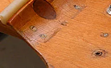 Photo : 19,6 Aile placage de tête