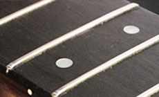 Finished fret