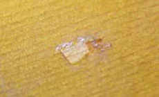 Correspondance de couleurs