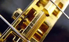 Photo : description des cordes de la plaie