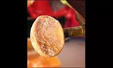 Remplacement des boutons du tuner endommagés