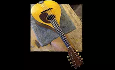 Greffe Tuner terminée