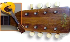 greffe de tuner inhabituelle