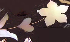 Incrustation prête à graver