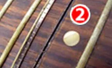 Retrait du cou étape deux