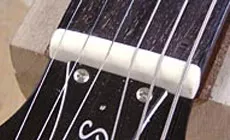 Photo : écrou à os pour chien