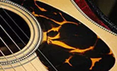 Matériau tortoloïde