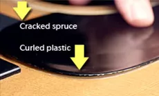 Introduction - épicéa fissuré