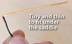 Photo : Fishman Thinline