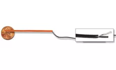 Photo : Fishman Thinline