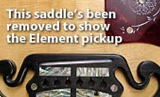 Photo : L.R. Baggs Element