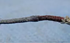 Isolation en tissu réparée