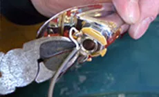 Sortez avec l’ancien !