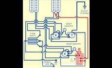 Jimmy page wiring