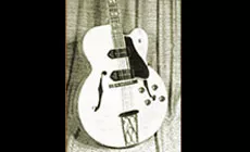 Es-3,0t-guitar