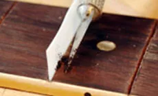 Emballage de poussière dans la puce