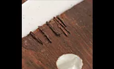 Éminces de bois de rose