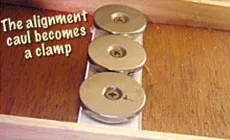 Alignement des caules