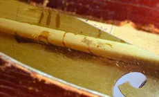 Photo : bar des basses