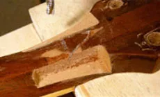 Clamper les formes irrégulières