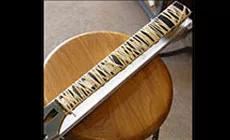 Collecte des élastiques