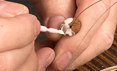 Appliquer de la colle sur la cale