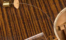 Visser la cale et l’ancrage sur le fil.