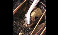 Spencer avec brosse fil