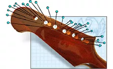 Trop de trous pour une placage de tête !
