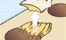 Déchirement du bois