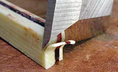 Photo : comme le butta !